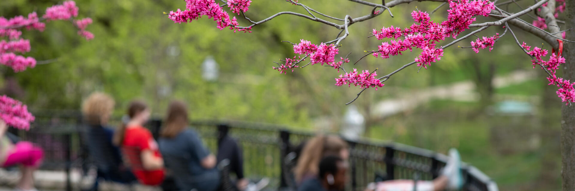 Students relaxing on the Oval.