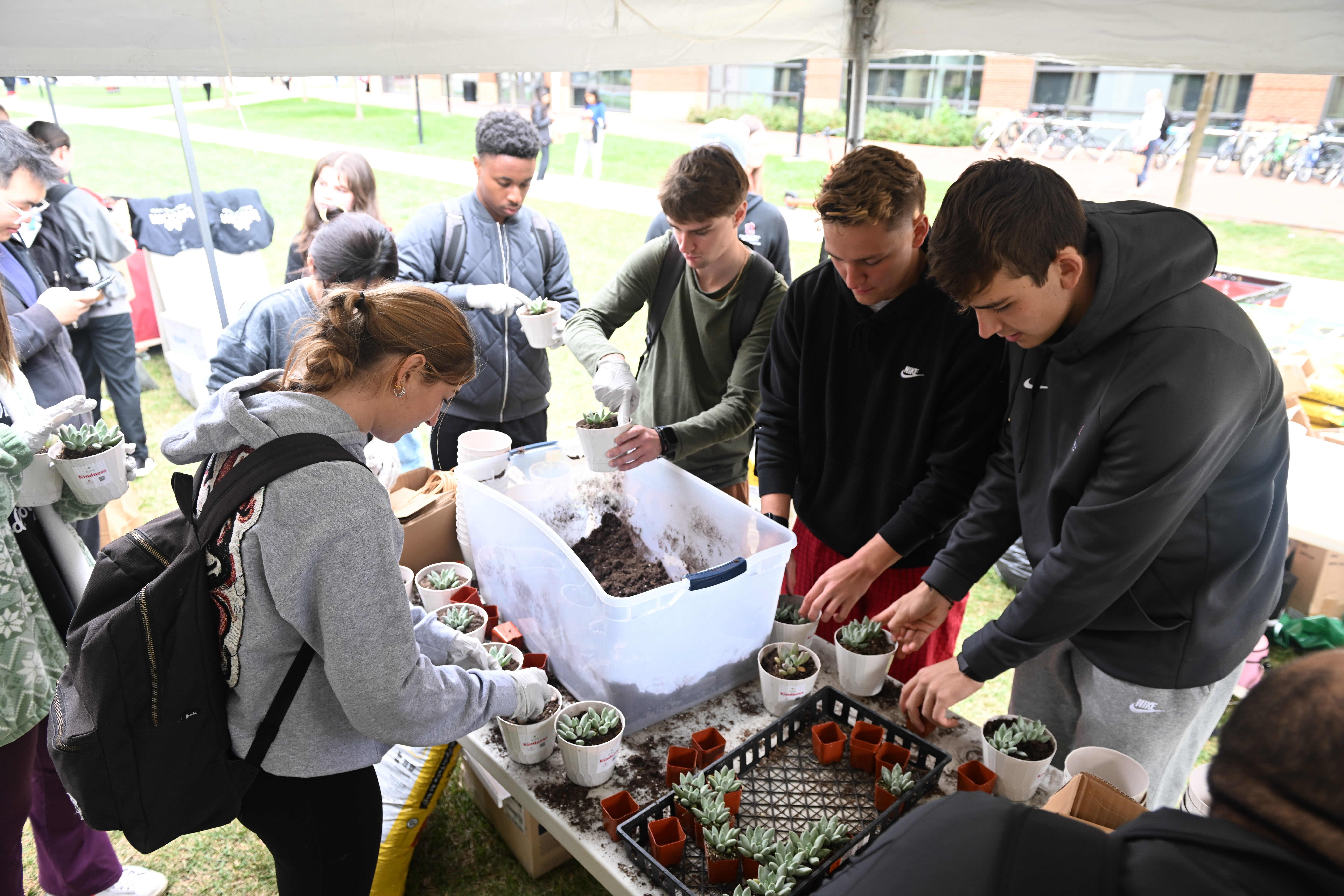 Students planting succulents during the Grow Kindness event.